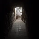 펜션 Il Chiostro Oasi Di Pace Con Antica Cantina Nel Cuore Del Monferrato Unesco *