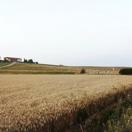 Il Chiostro Oasi Di Pace Con Antica Cantina Nel Cuore Del Monferrato Unesco Semesterbostad Camagna Monferrato