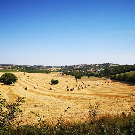 Semesterbostad Il Chiostro Oasi Di Pace Con Antica Cantina Nel Cuore Del Monferrato Unesco