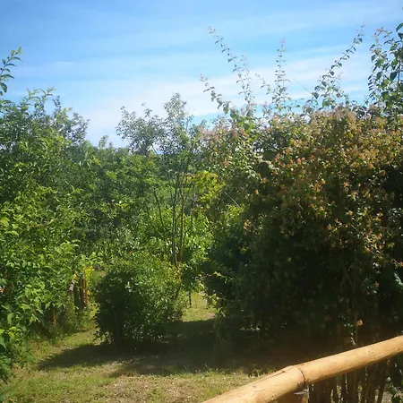 Il Chiostro Oasi Di Pace Con Antica Cantina Nel Cuore Del Monferrato Unesco Camagna Monferrato