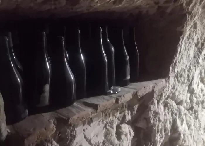Semesterbostad Il Chiostro Oasi Di Pace Con Antica Cantina Nel Cuore Del Monferrato Unesco Camagna Monferrato