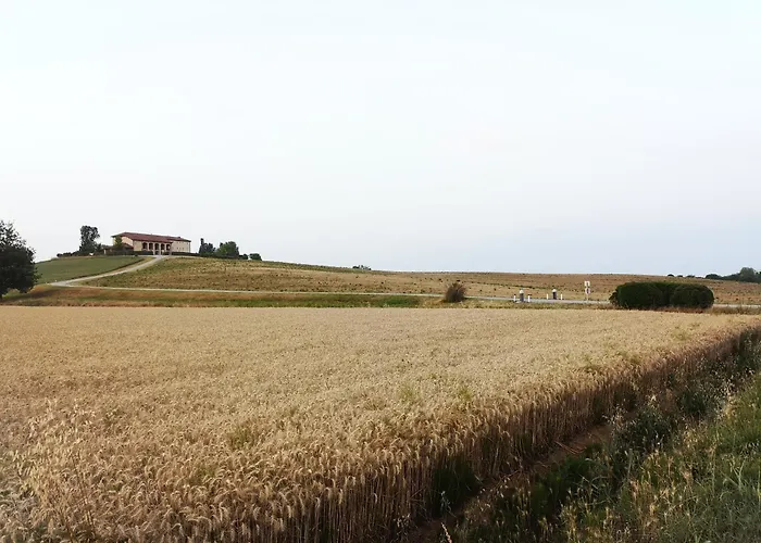 Il Chiostro Oasi Di Pace Con Antica Cantina Nel Cuore Del Monferrato Unesco Semesterbostad Camagna Monferrato