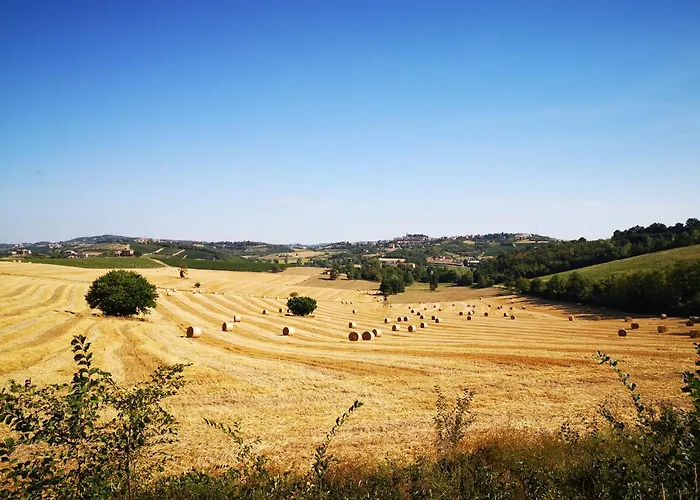 Semesterbostad Il Chiostro Oasi Di Pace Con Antica Cantina Nel Cuore Del Monferrato Unesco