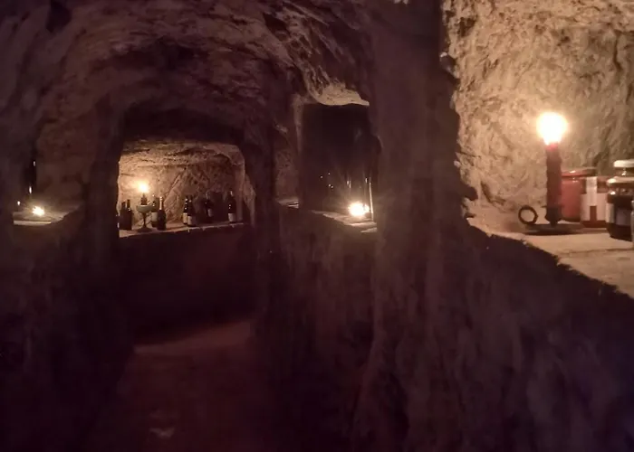 Semesterbostad Il Chiostro Oasi Di Pace Con Antica Cantina Nel Cuore Del Monferrato Unesco *